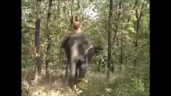 Selen the elephant queen 1997